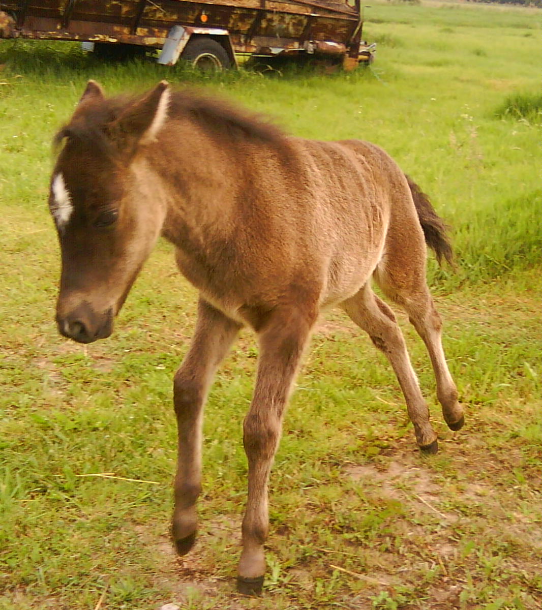 Granulka moja