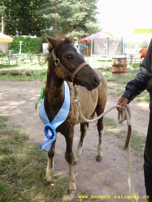 Garnýsek můj velikej borec